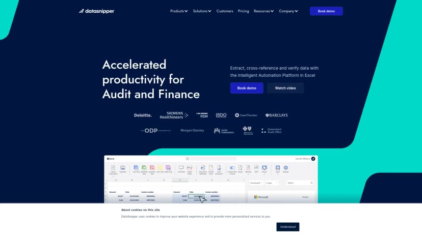 DataSnipper screenshot